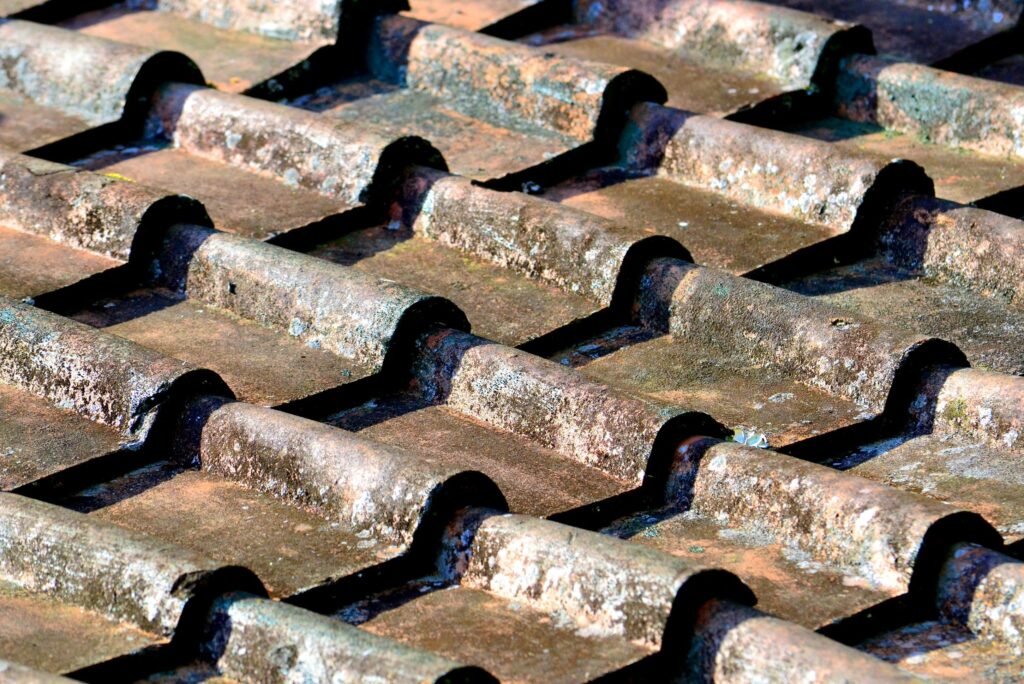 nettoyage tuile beton